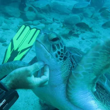 Apartment Tenerife Luxury *