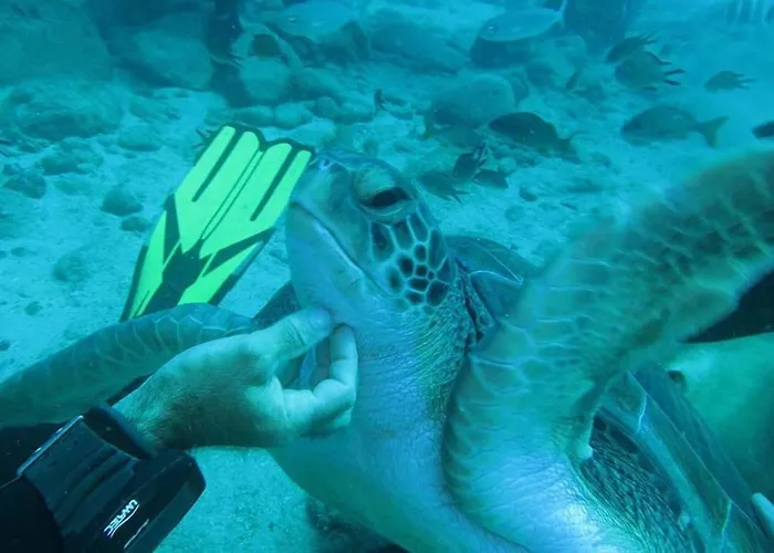 Apartment Tenerife Luxury *